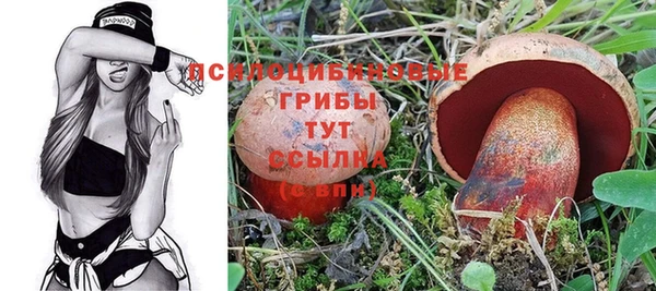 первитин Абинск