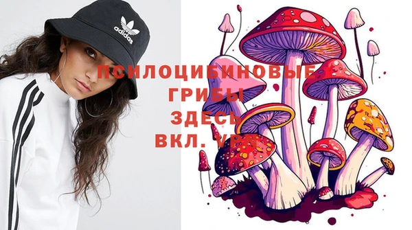 первитин Абинск