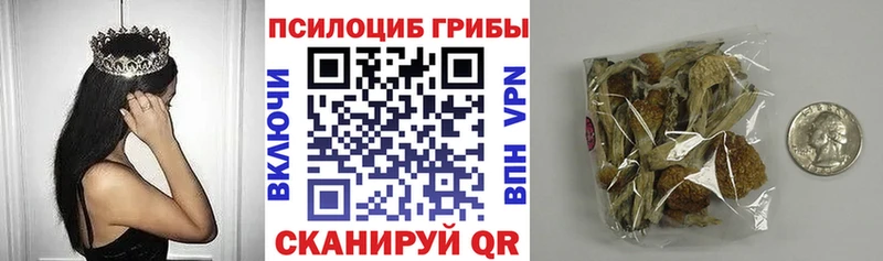 Галлюциногенные грибы Psilocybe  закладка  Яблоновский 