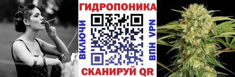 Каннабис White Widow  Яблоновский 